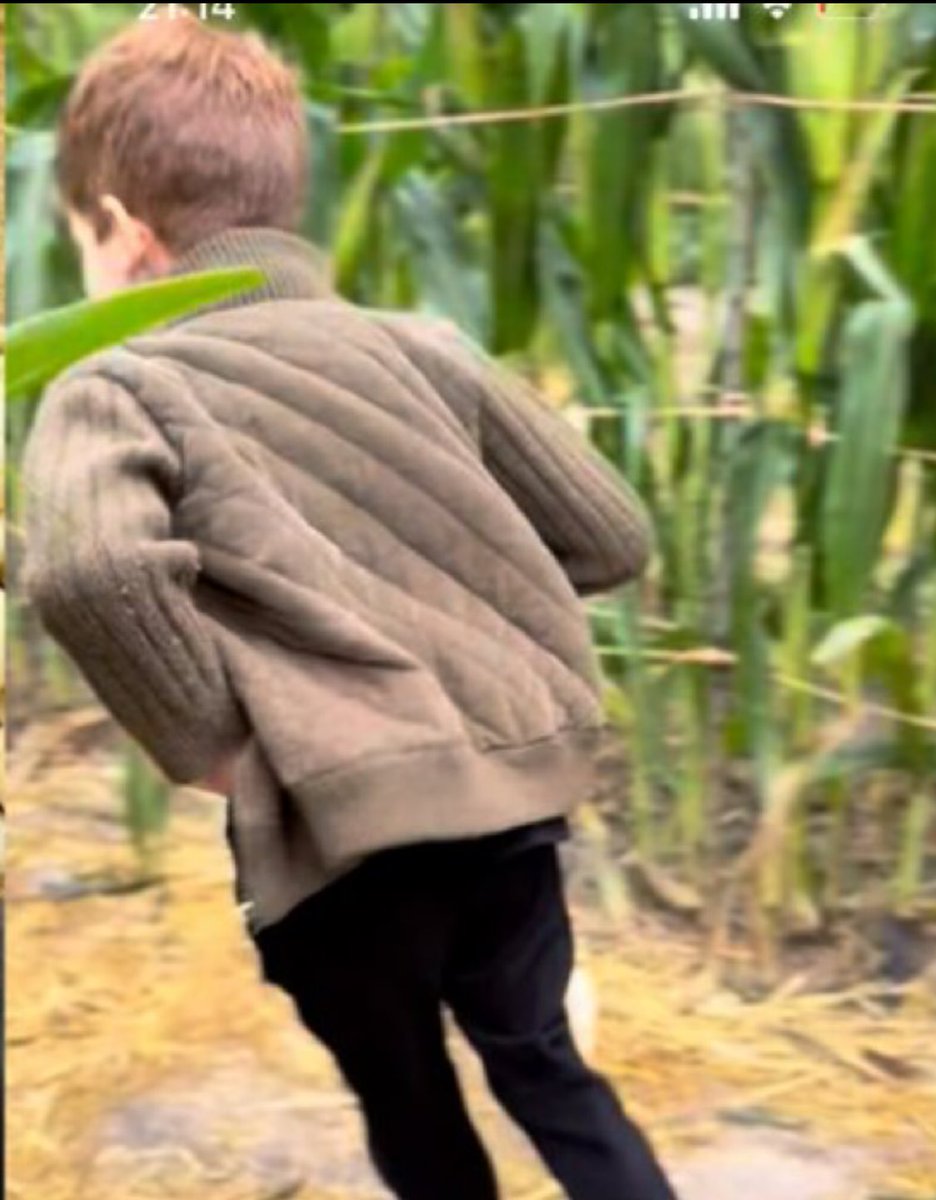 meyoudontsee21's tweet photo. Loving the “then and now” throwback of Prince Archie running through the field ❤️

#sussexlove #asever #Halloween https://t.co/aYVowaejdQ