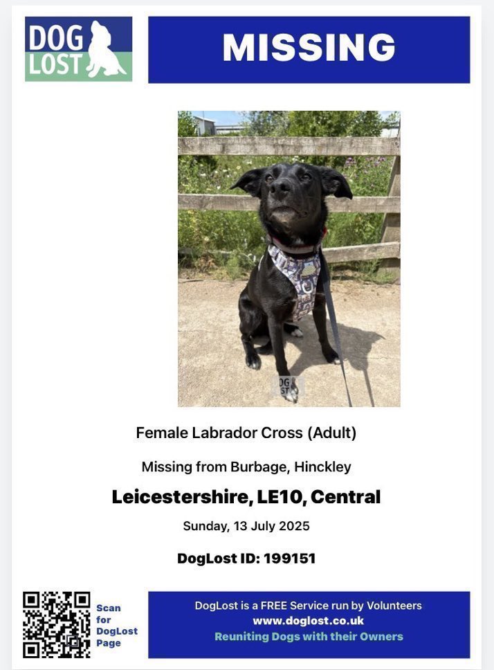 LisaClareRead2's tweet image. Please RT 🙏 
Have you seen Pippa? 
She’s been missing from Burbage #Hinckley #Leicestershire since Sunday 13th July 2025. 
Please report sightings and help get her home 🙏💕🐾
doglost.co.uk/dog/199151
#EastMidlands #LE10 #k9hour #rehomehour #stolendoghour