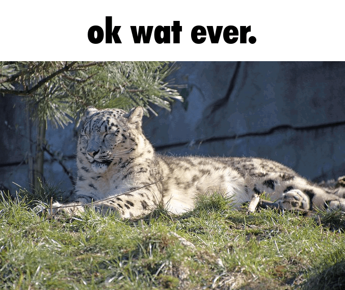 That One Snep tweet media