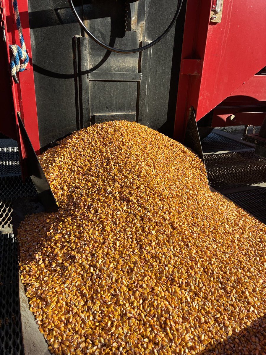 Furthest thing from a perfectionist. But this sure is a nice sample!