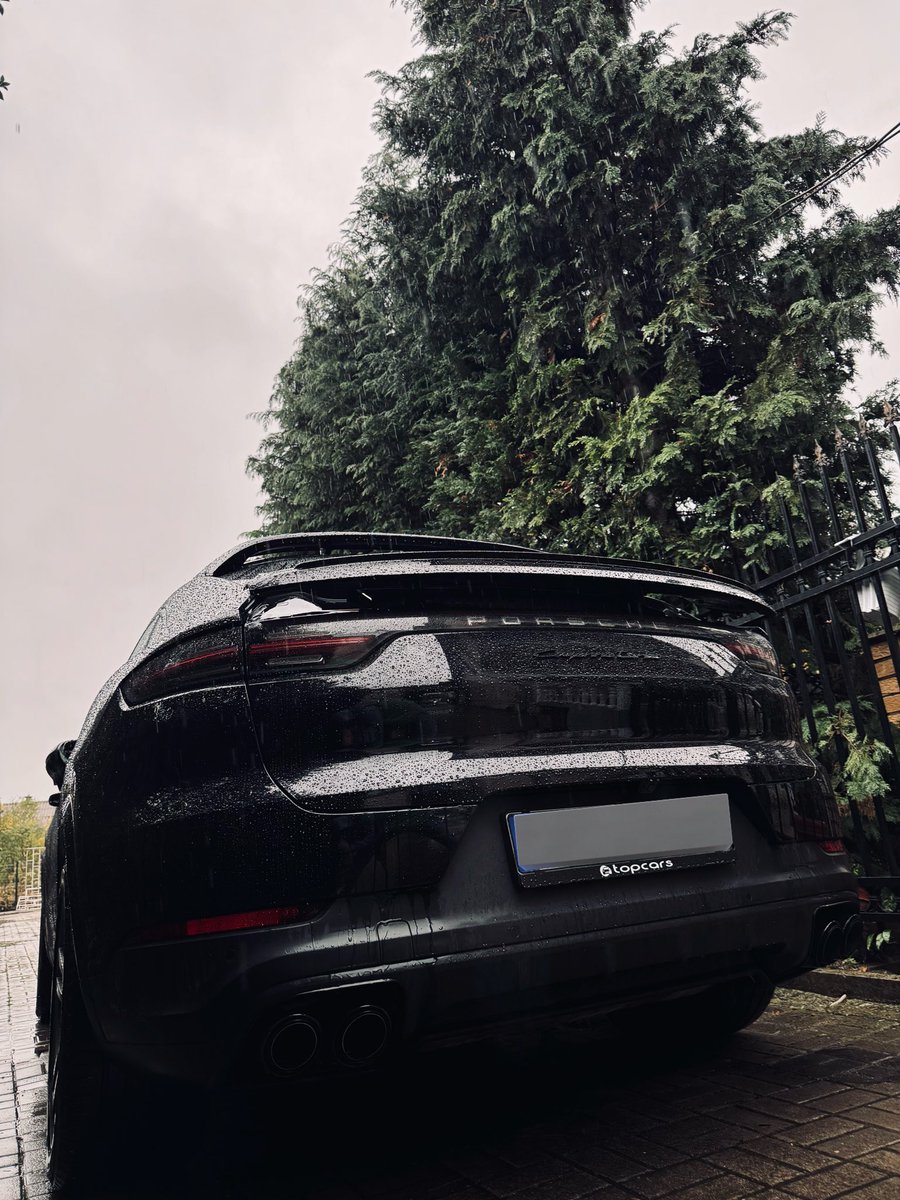 degeneKAWS's tweet image. Sunday, rain, silence, and focus.

🧿