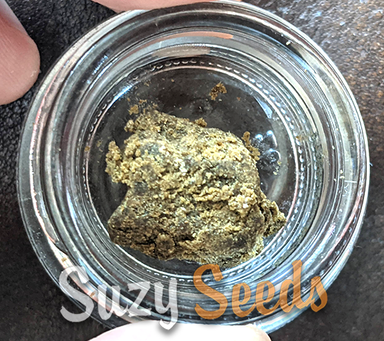 SuzySeeds's tweet photo. From ancient secrets to modern magic: Our updated Hash Special blog spills on Morocco's legal boom, bubble hash hacks, and strains like Lunio OG for next-level concentrates. Dab rig ready? What's your go-to press? https://t.co/Srqfif1uqQ
#Hashspecial #feminizedseeds #SuzySeeds https://t.co/KEocgIS7gl