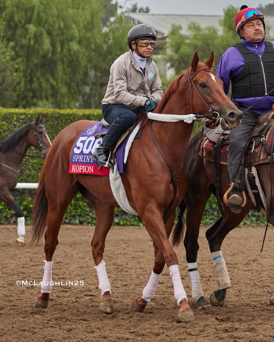 Kopion smoked 3F in 33.20 this morning under HoF jockey Mike Smith for HoF trainer Richard Mandella <a href="/BreedersCup/">Breeders' Cup</a> <a href="/santaanitapark/">Santa Anita Park</a> <a href="/spendthriftfarm/">Spendthrift Farm</a> <a href="/mikeesmith10/">mike e smith</a>