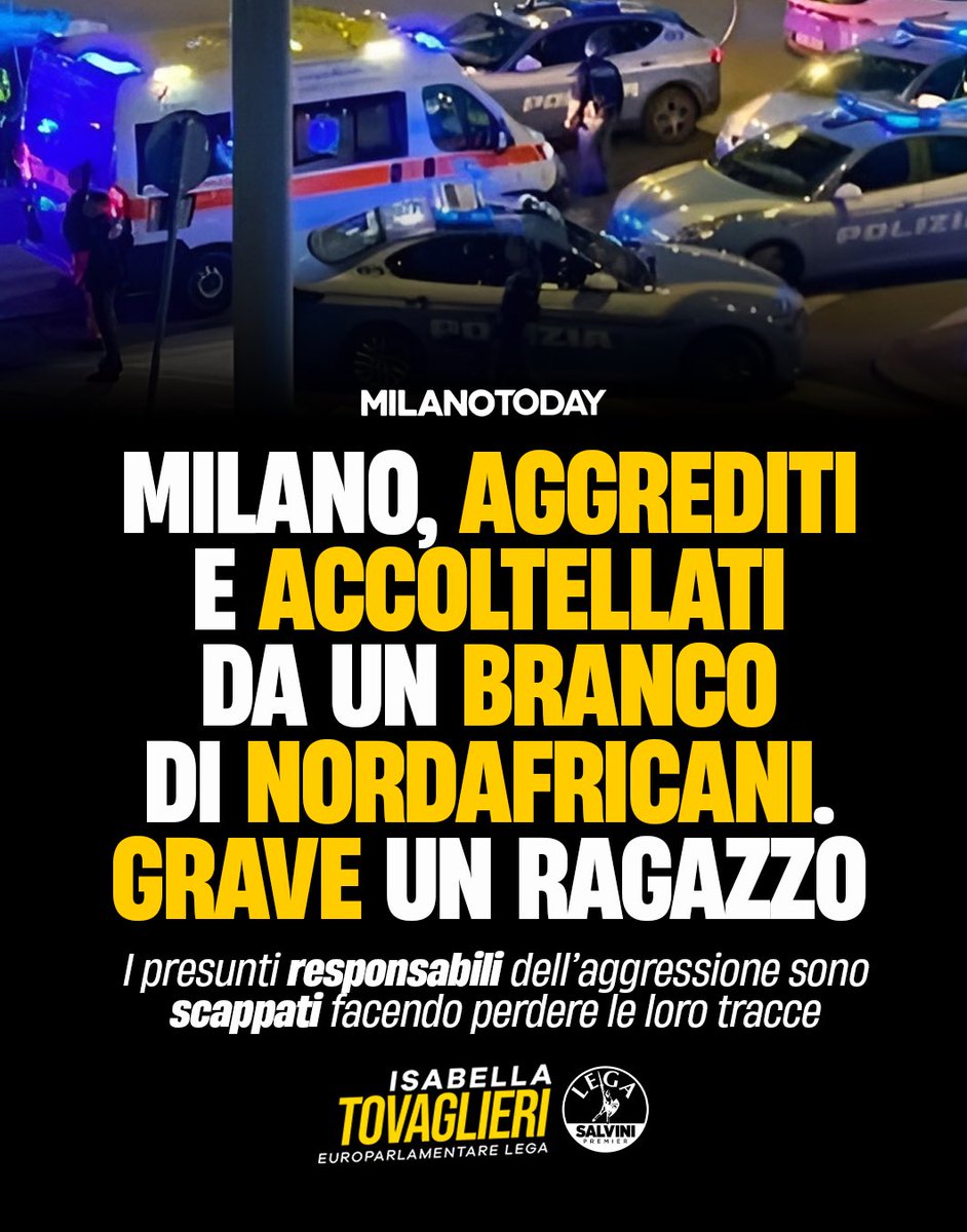 Isabella Tovaglieri tweet media