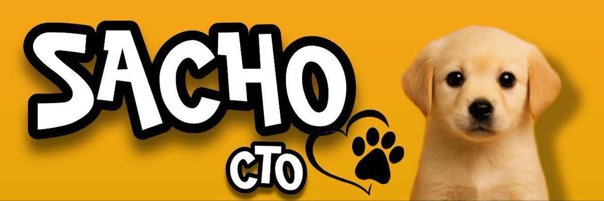 sachosolancto's tweet image. 