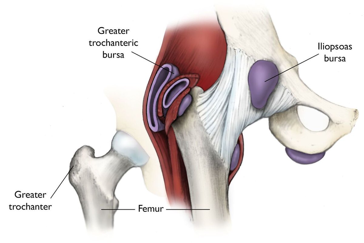 MedEd Cases (@meded_cases) on Twitter photo The FABER or flexion, abduction and external rotation test evaluates for hip and sacroiliac disease. The tested leg is placed in a βfigure 4β position, with the hip flexed, abducted, and externally rotated so that the ankle rests on the opposite thigh. The examiner stabilizes the The FABER or flexion, abduction and external rotation test evaluates for hip and sacroiliac disease. The tested leg is placed in a βfigure 4β position, with the hip flexed, abducted, and externally rotated so that the ankle rests on the opposite thigh. The examiner stabilizes the