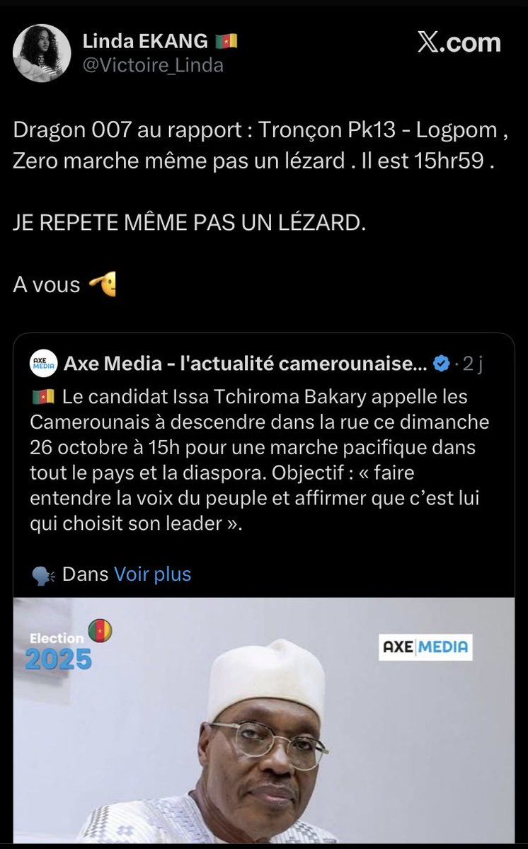 #LesPetitesMainsDeLaDictature