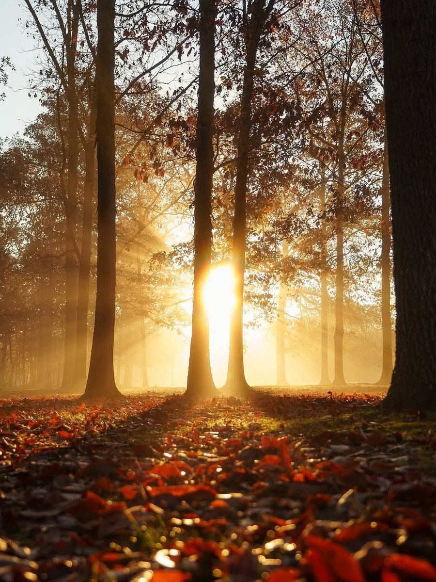 الضوء لا ياتي دائمآ من الشمس 
أحياناً ينبعث من قرار صغير اتخذته بشجاعة!