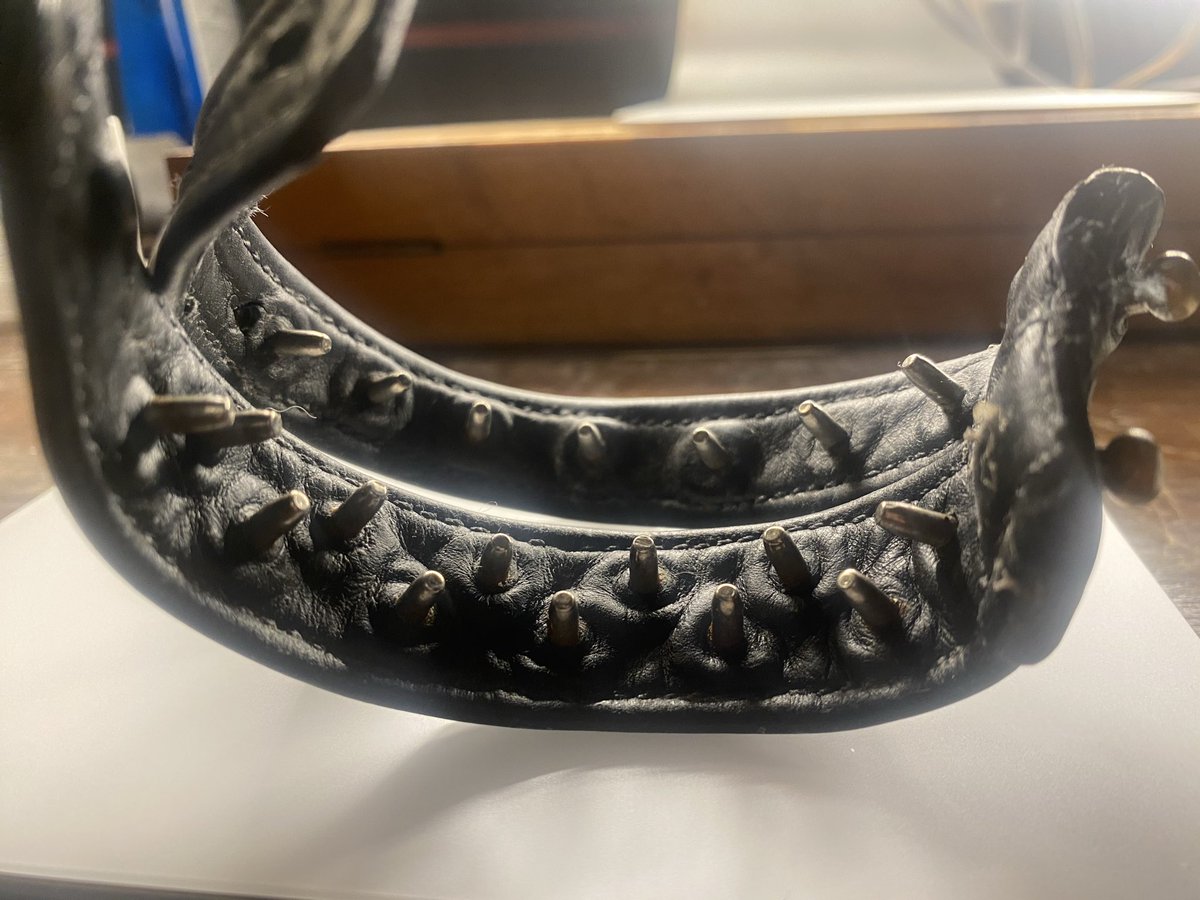 dgbastide tweet media