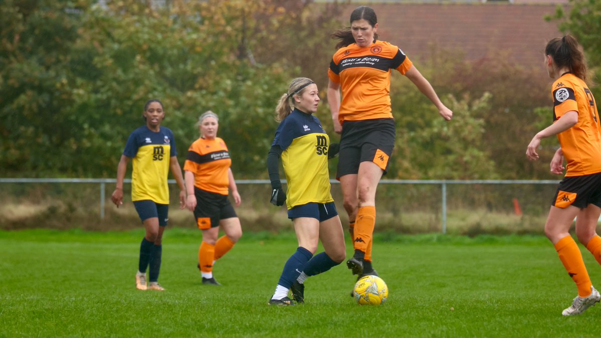 Hardy Scott Photo's tweet media