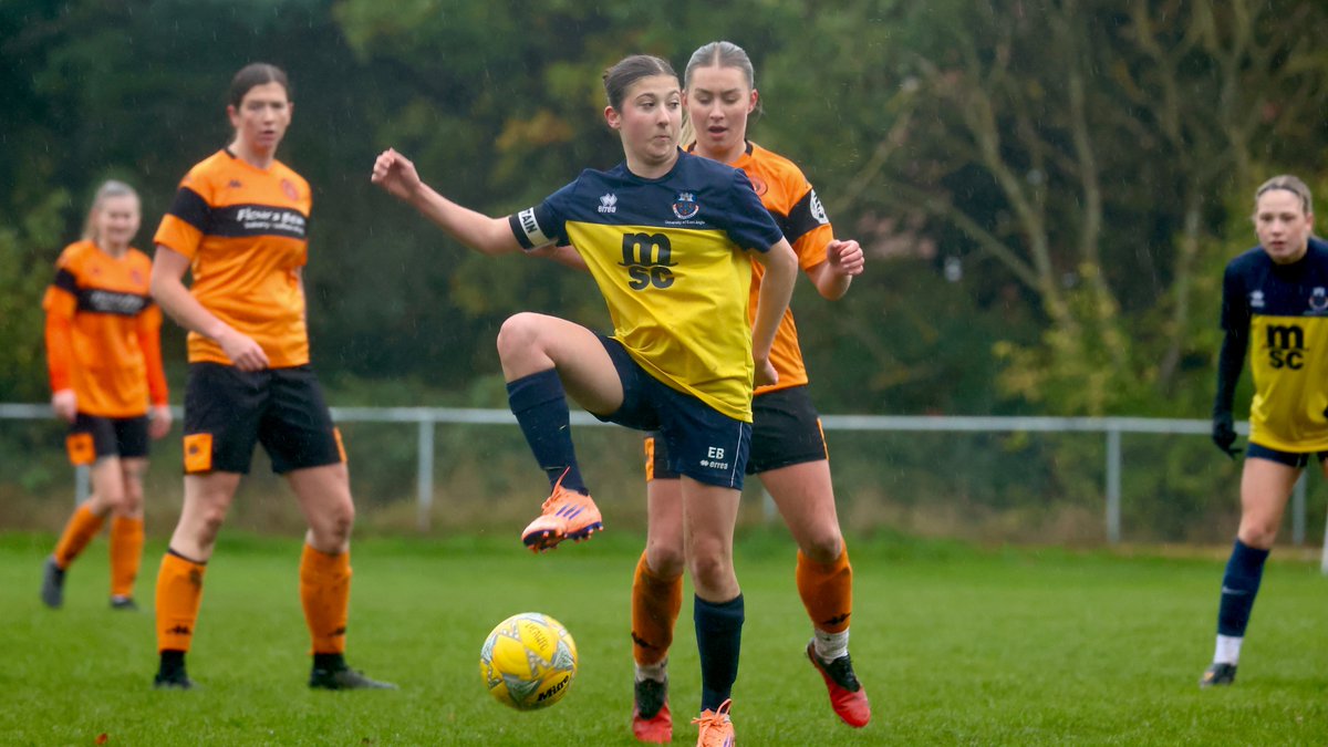 Hardy Scott Photo's tweet media