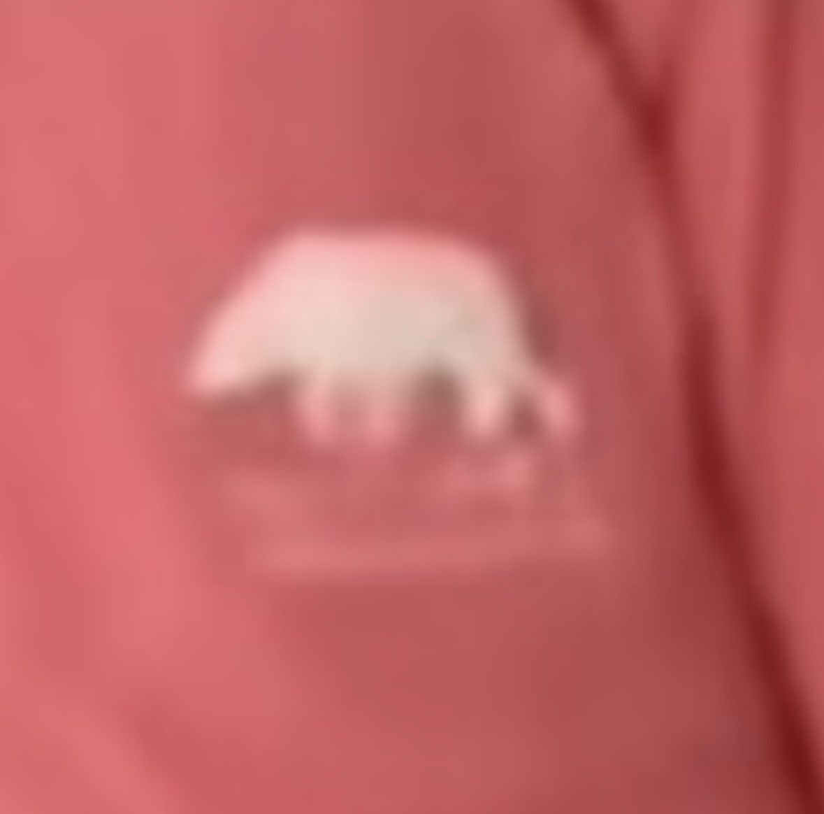 Hops “Buster” Chutback tweet media