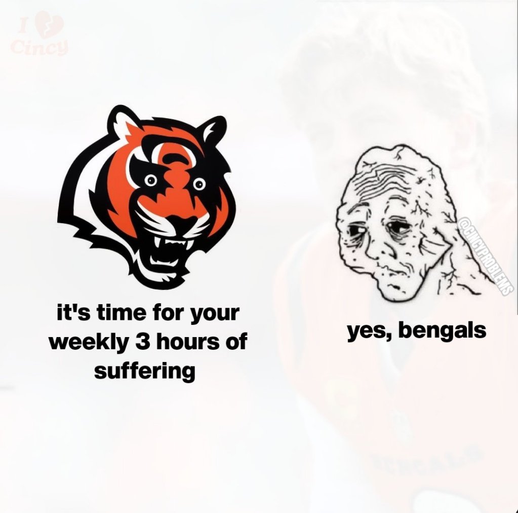 CincyProblems's tweet image. So fun