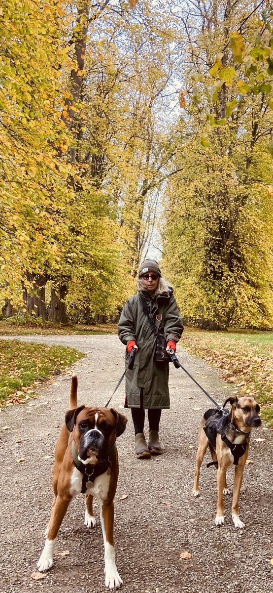 Changing my mind about Autumn 😉♥️
