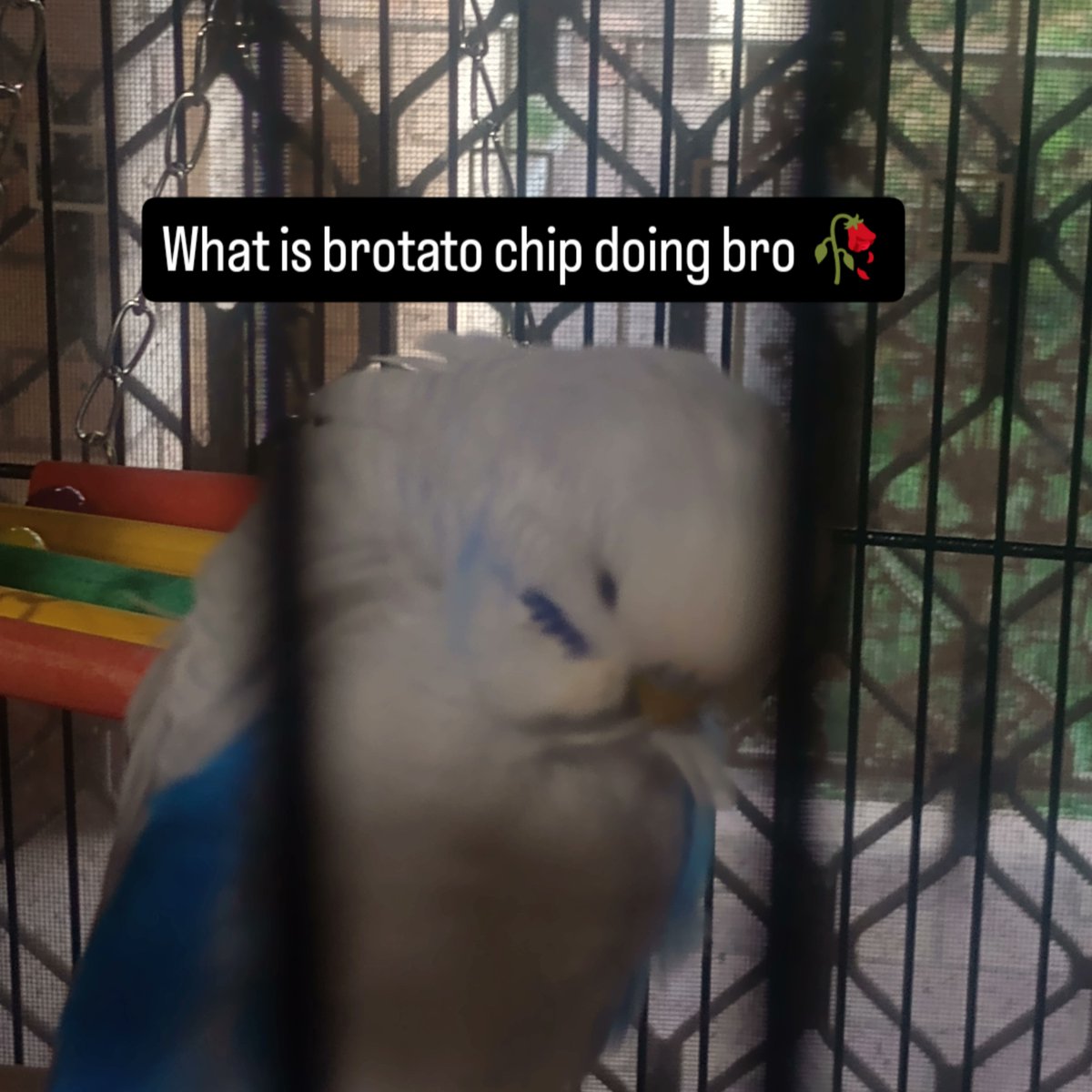 Toasty82 (@toasty82_real) on Twitter photo 