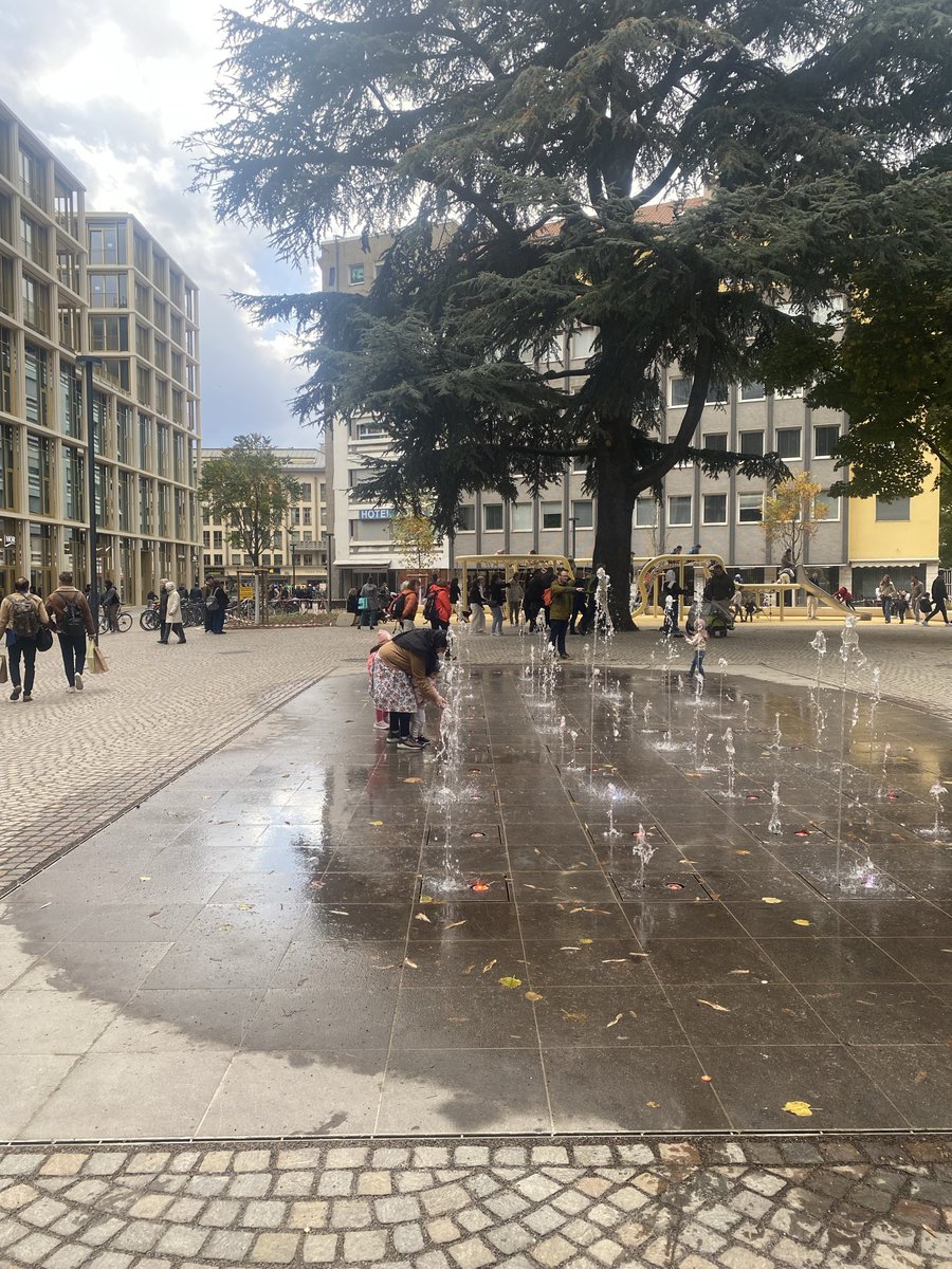 Sonia Zuccaro tweet media