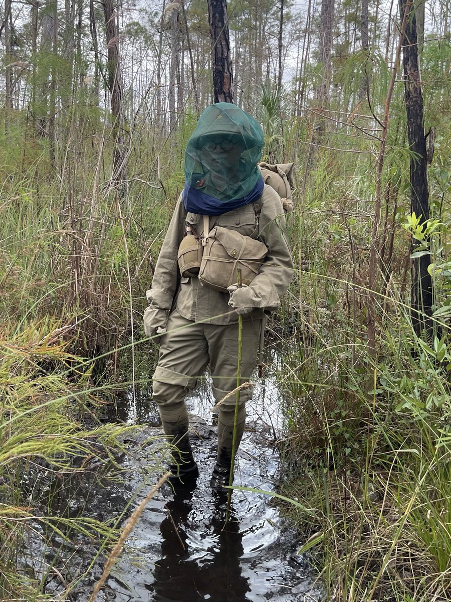 Did a kit hike in the Everglades. Most of the trail was submerged but thankfully the water level didn’t go past the knees 😩
