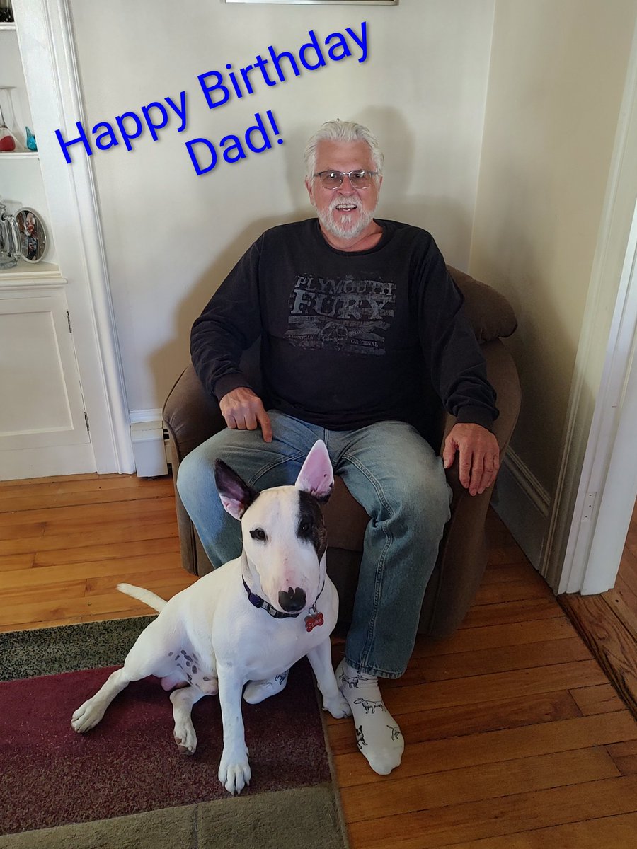 Spike The Rescue Pup & Rex The TV Terrier ®🌈🐾 tweet media