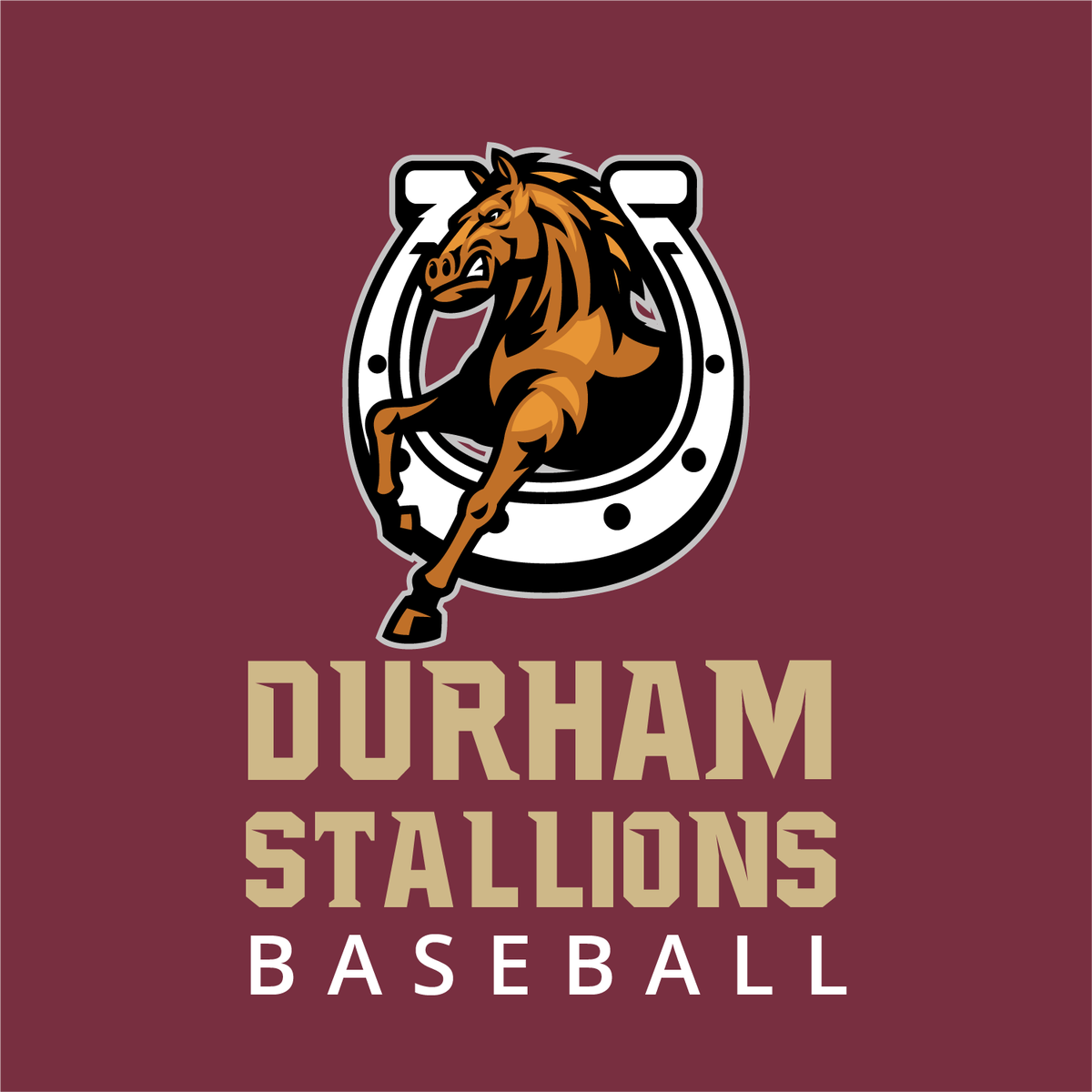 Durham Stallions Baseball tweet media