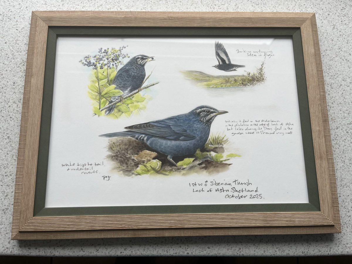 Colin Green tweet media