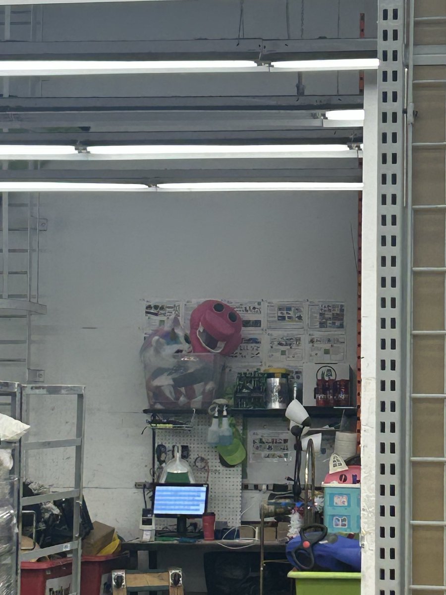 Doing some thrift shopping, i turn around and see this staring directly at me