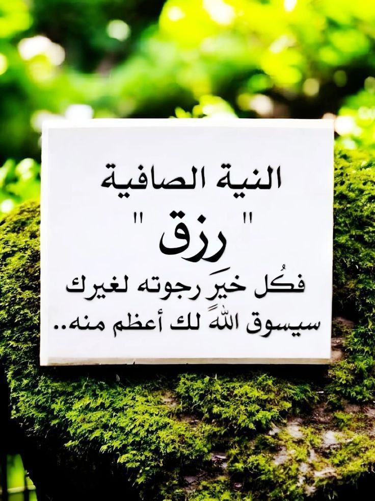 حاملة المسك tweet media