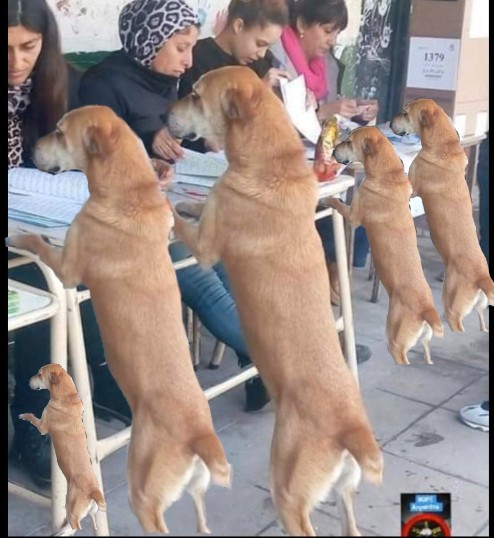 Como que no estamos en el padrón? Busque bien: Cesar Ibañez, Nahuel Paz, Cono Gil, Matias Tissera, Luciano Gimenez, Conchita Bizans, Rodrigo Cabral, Erik Ramirez, Alanis, Frank Dario Kudelka