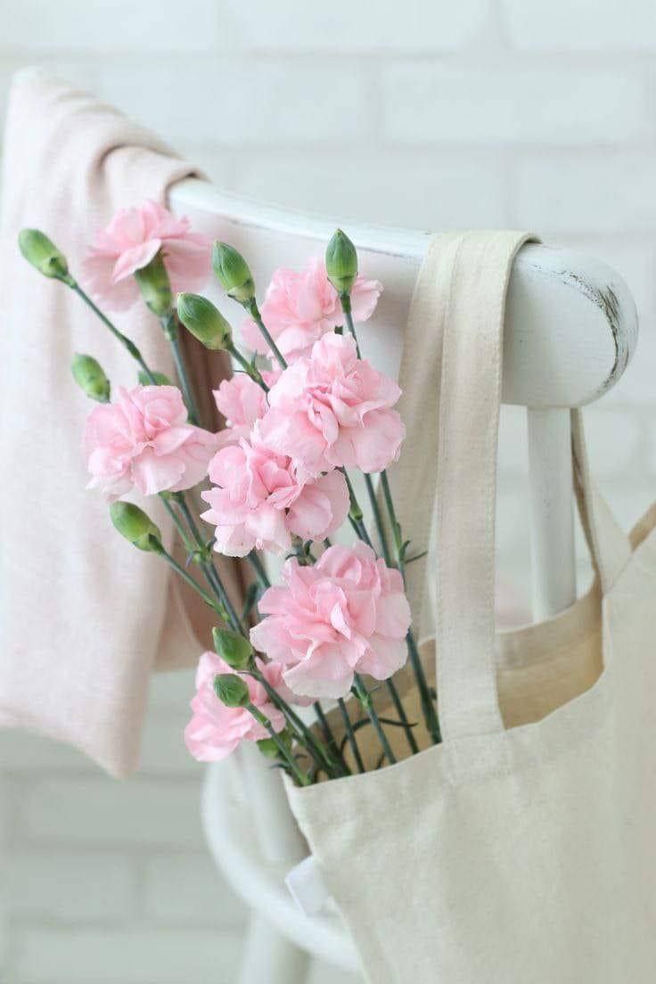 حاملة المسك tweet media