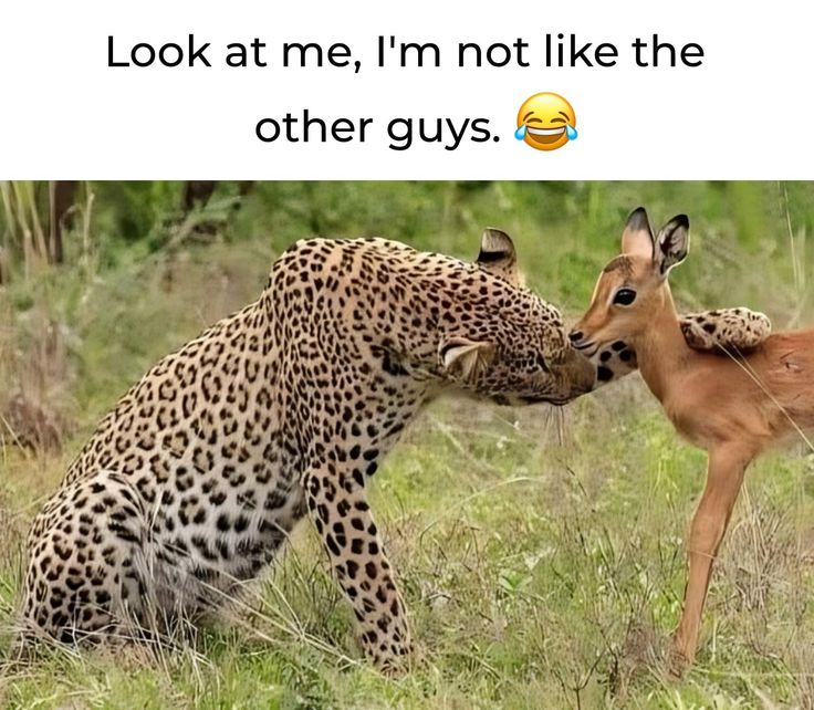 SkywaveRapper's tweet image. Don't trust anyone even the government