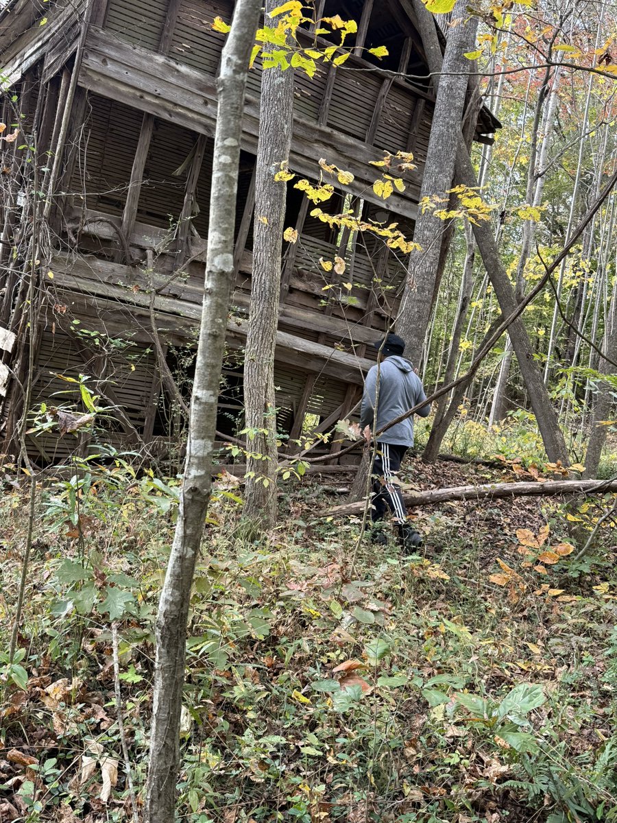 Black King tweet media