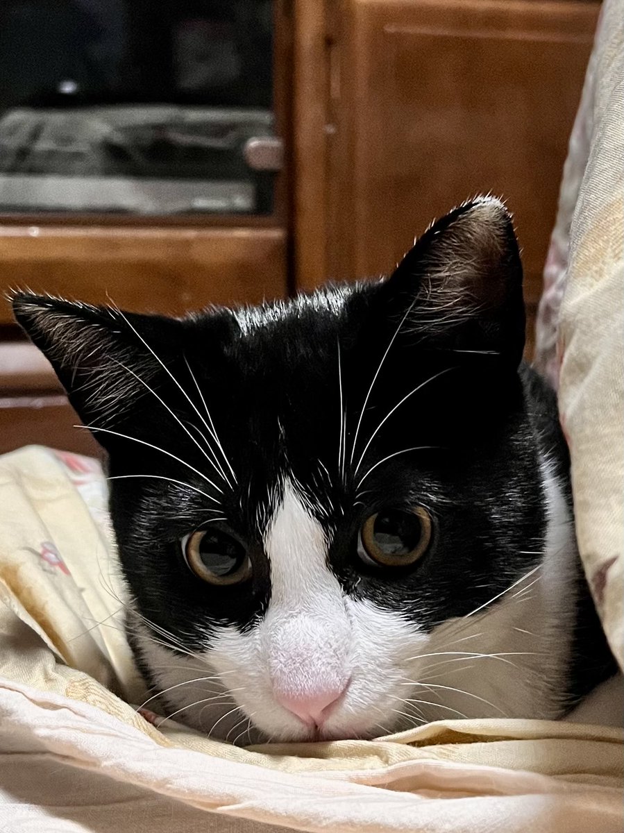 各局、おはようございます♪ 
今週もよろしくお願いします。