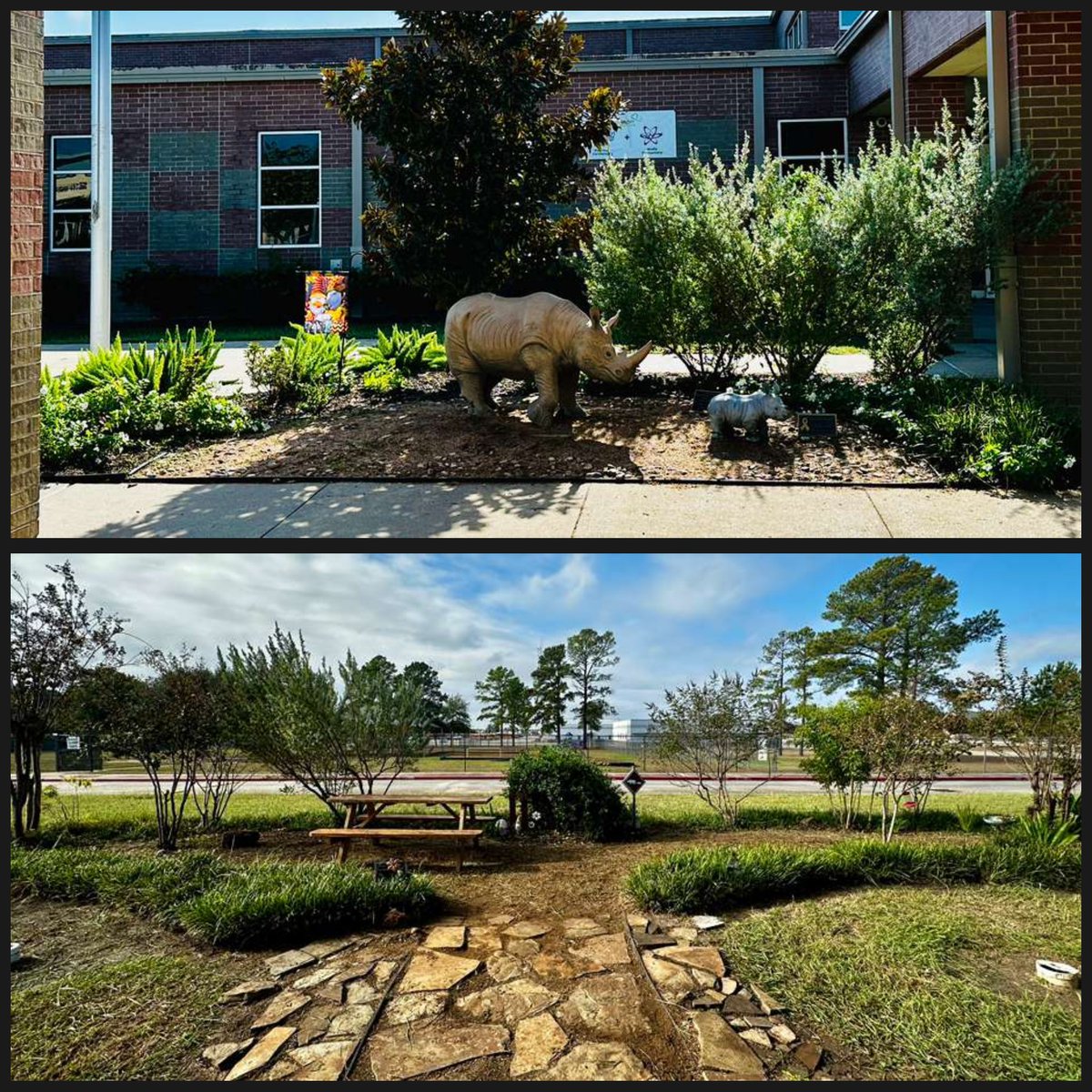 misspaek's tweet photo. WOW! A huge THANK YOU to Ms. Gilmour & Ms. Tatum Gonzales for leading this garden cleanup party with the RRE Beautification Committee and Rhino & NJHS volunteers. We appreciate you all so much! π¦β€οΈ #RRErhinos #RREpta @Rockin_Rhinos https://t.co/4OzCbuqIzd