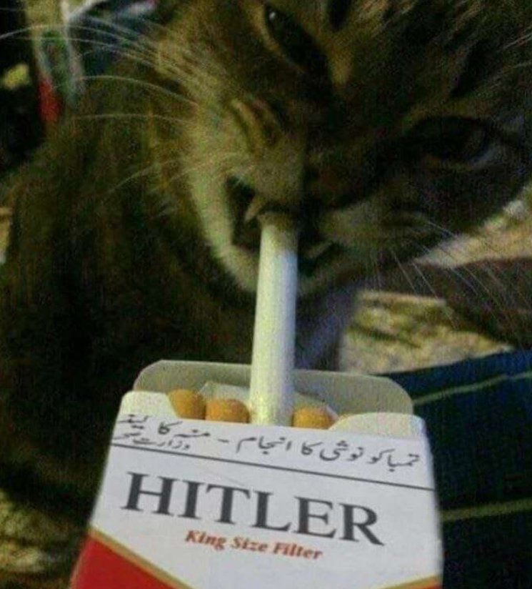 Lace & War (@lace_and_war) on Twitter photo Gn frens Gn frens