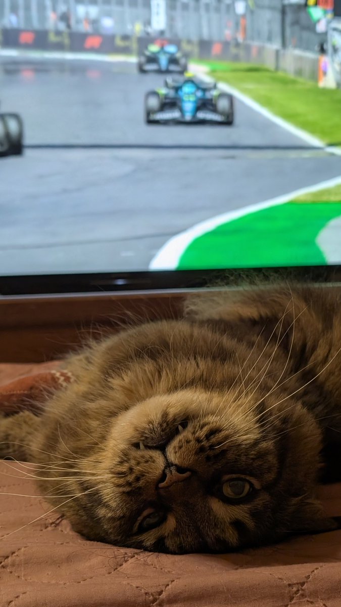 каже Шторм, що він за Ландо, але дивитись не буде, тільки слухати)