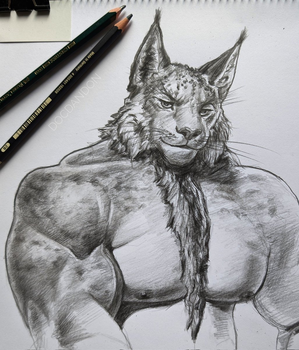 Big Bobcat.
Commission, graphite pencil on paper.