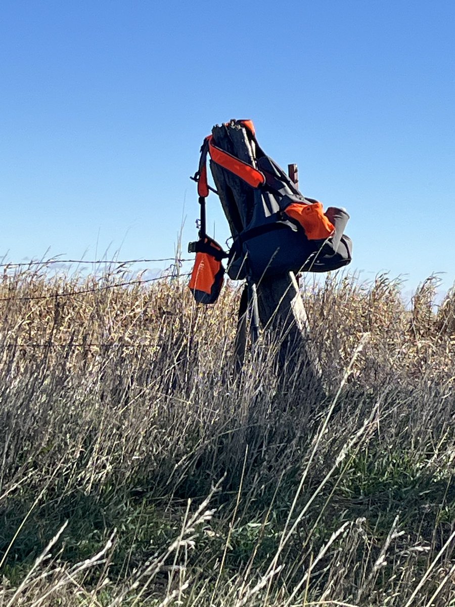 Shannon Cooper tweet media