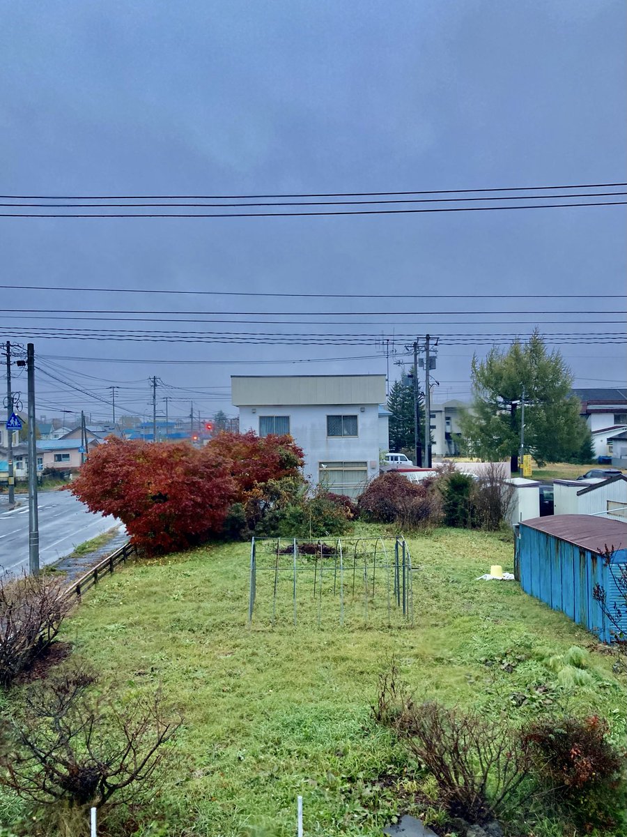晩からずっと降ってた雨は止みそうだね。
#ohayomorning