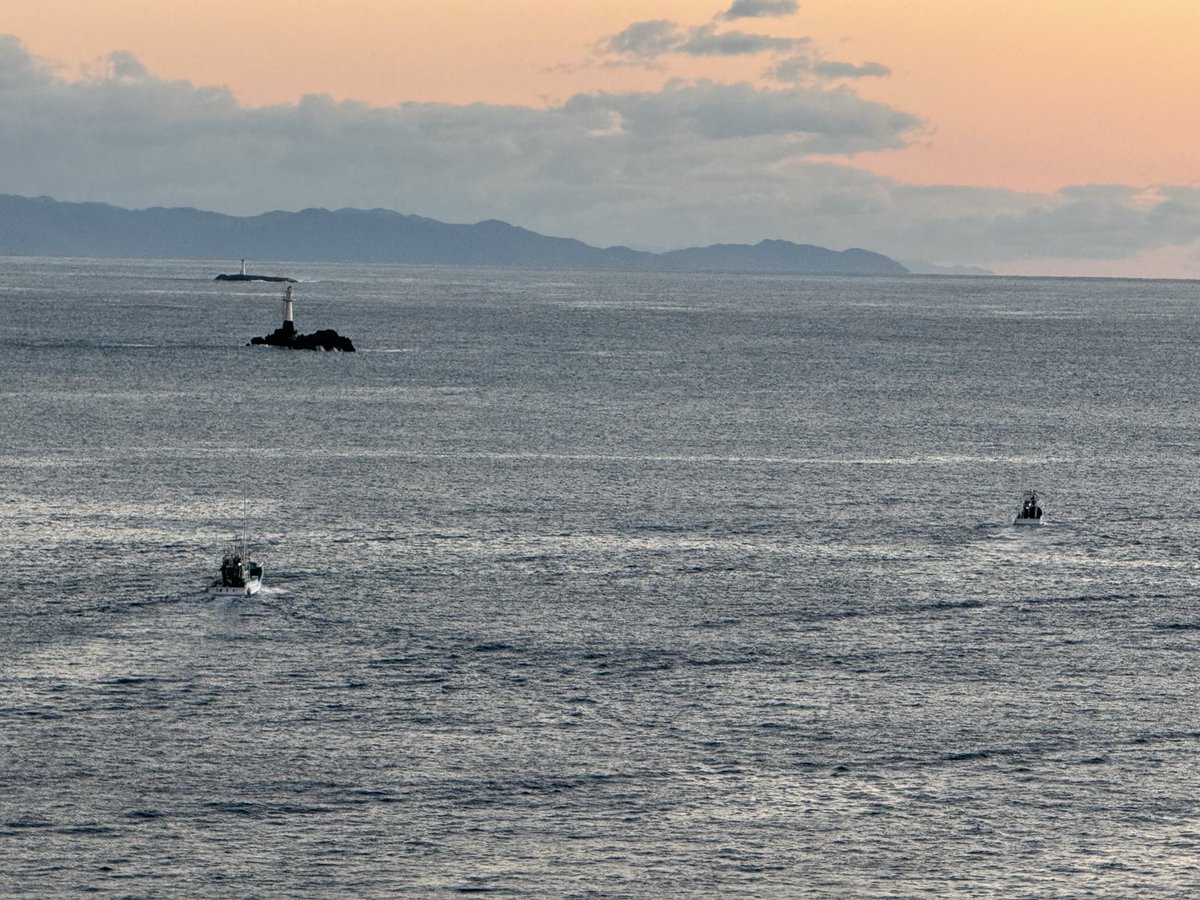 Chrissy a proud Pigoneer & Dolphin Angel Ⓥ 𓃟 💙🐬 on X