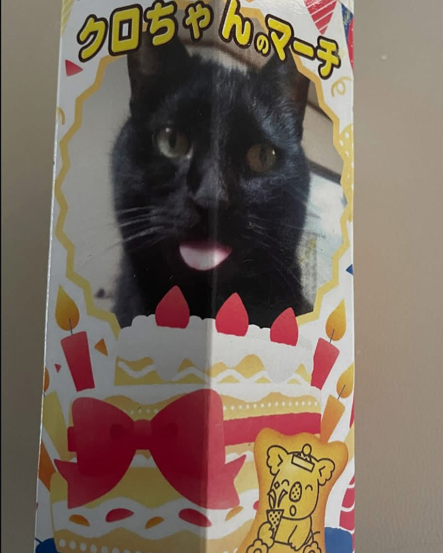 kurochan5110 (@kurochan_5110) / Posts / X