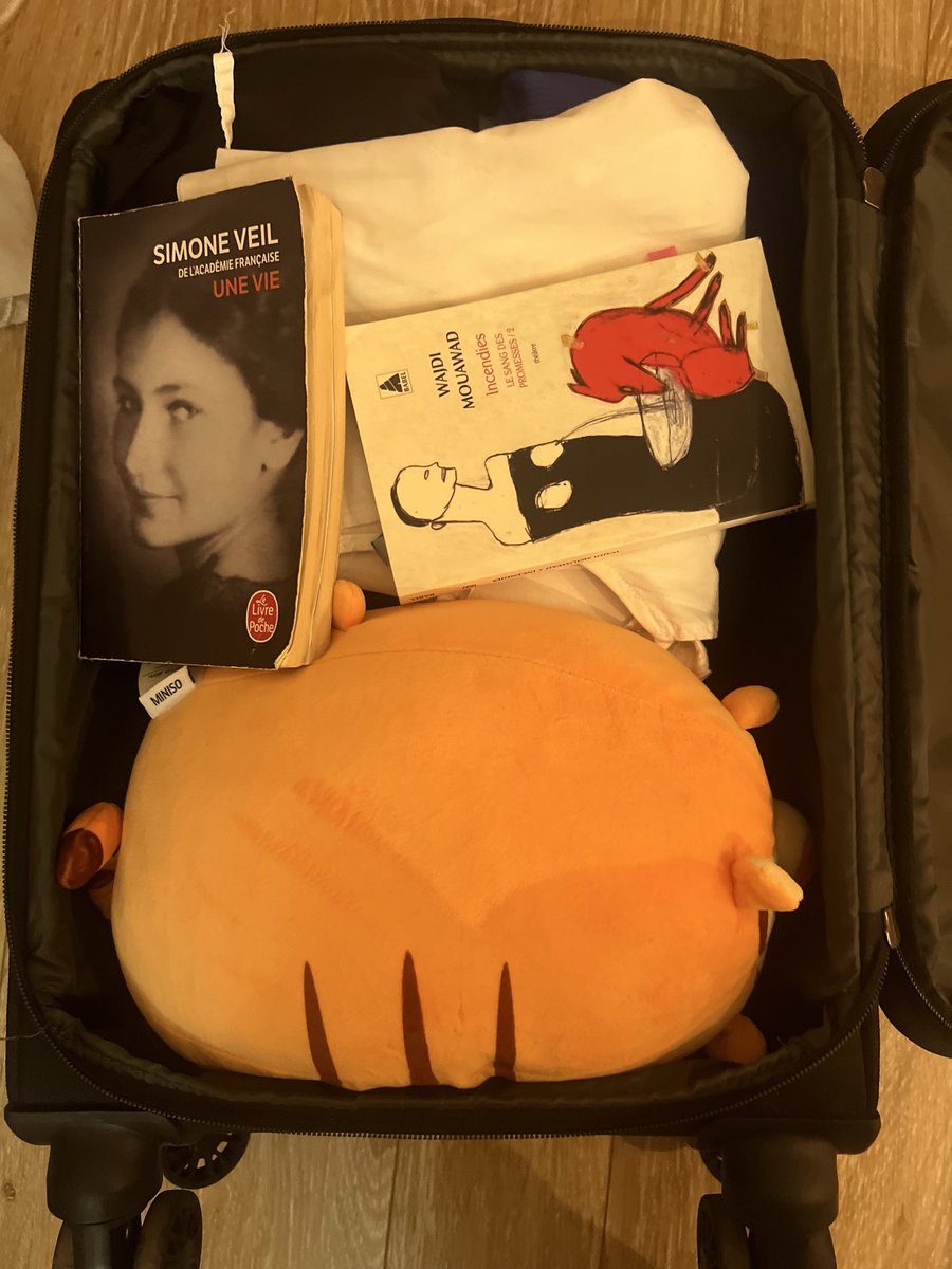 mothfaie's tweet photo. college packing https://t.co/MNlcuu7mgG