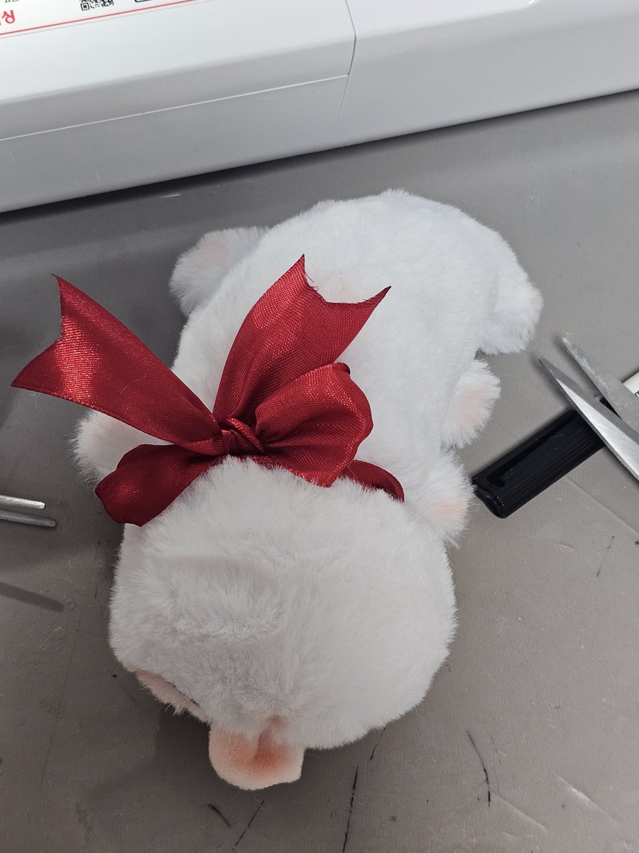 guay_0504's tweet image. 알티추첨한분 털찐자헌 만들어드려여
다른거다필요없습니다 오직 알티만 부탁드립니다
혓바닥있어용