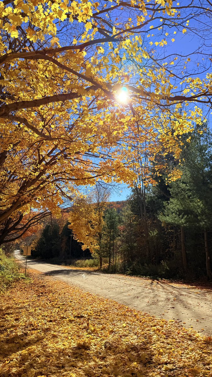 Prashant Dixit tweet media