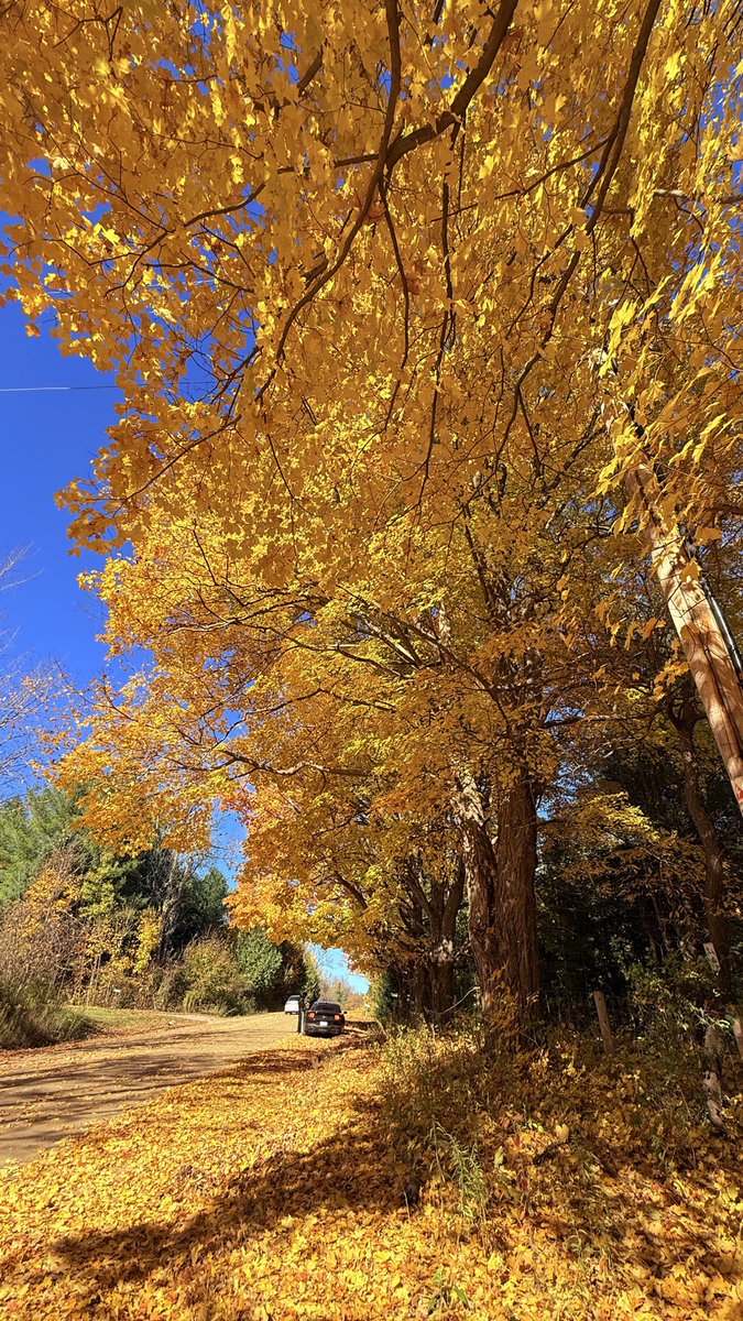 Prashant Dixit tweet media