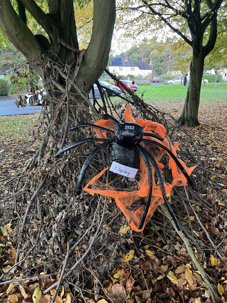 #NHS1000miles week 43 for 2025
Walk 🚶‍♀️17.86 miles 
Run 🏃🏻‍♀️ 21.47 miles
Total 39.33 miles 
YTD 1,717.18 miles