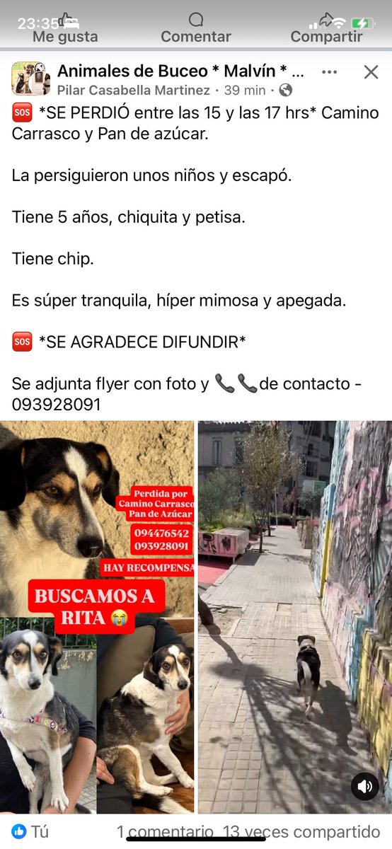 Adriana43587622's tweet image. 