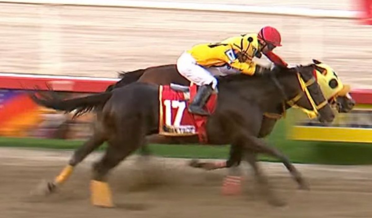 Solo perdió y gano el otro 0 comentario...gano el astuto aqui 👇