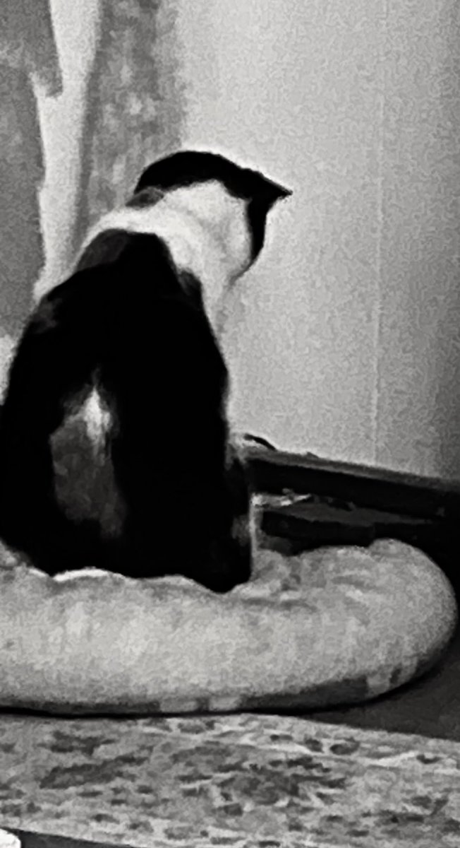 She was naughty so she was put in the corner