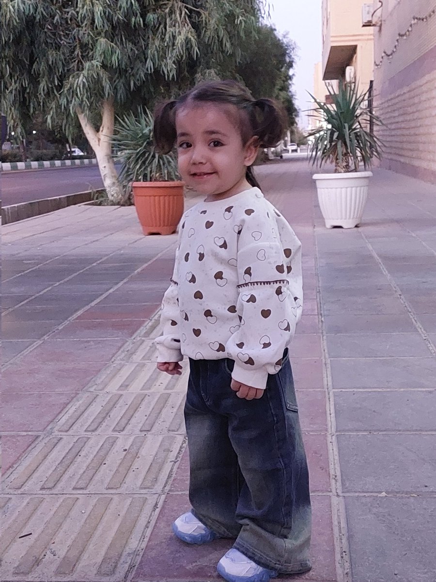 solhjoo_ir's tweet image. نور دیده