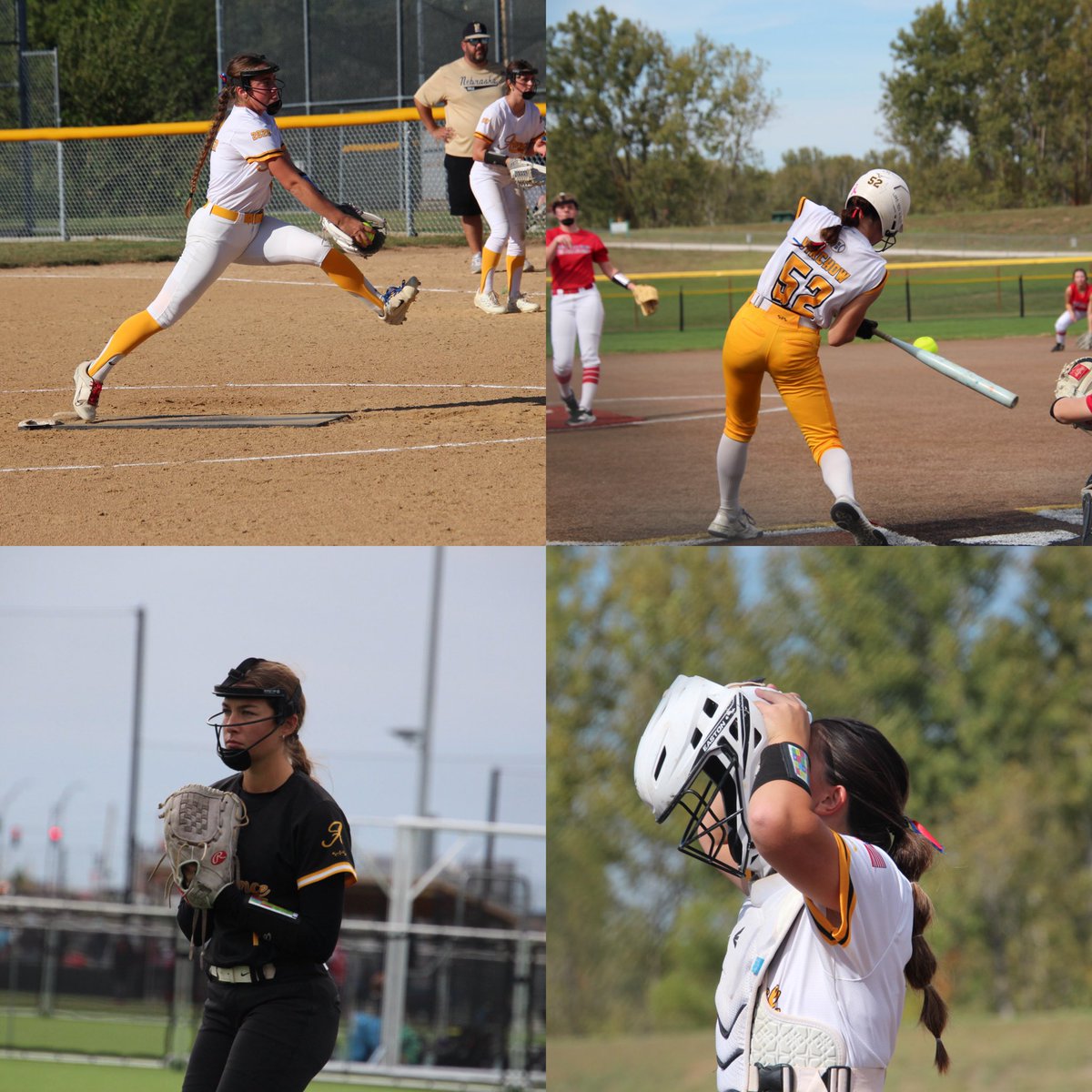 Alliance Select Gold 16u tweet media