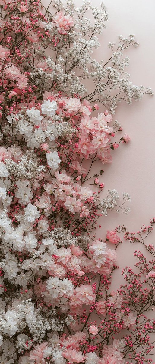 aestheticspost_'s tweet photo. https://t.co/wDj4odYP3X